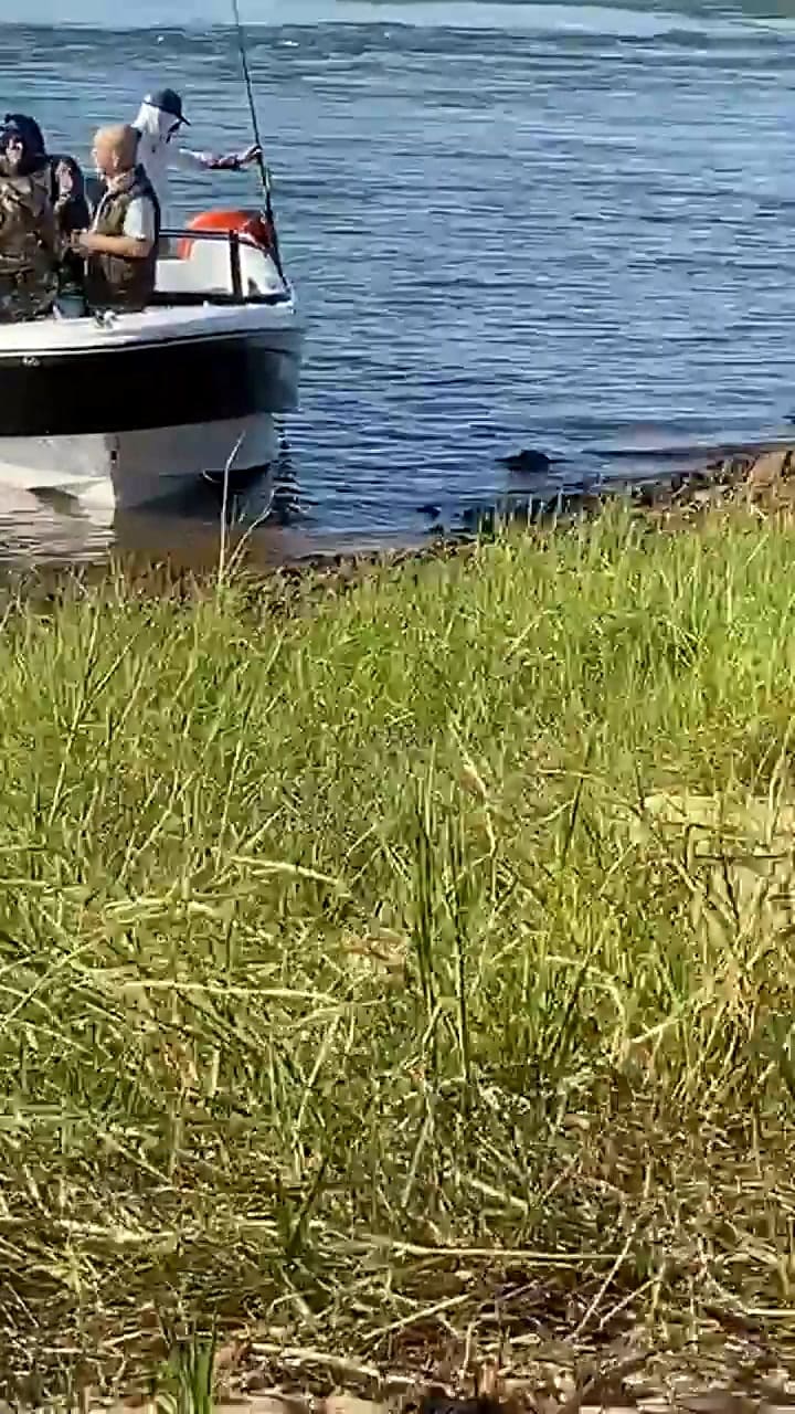 El video que muestra que los pescadores efectivamente se encontraban en territorio argentino