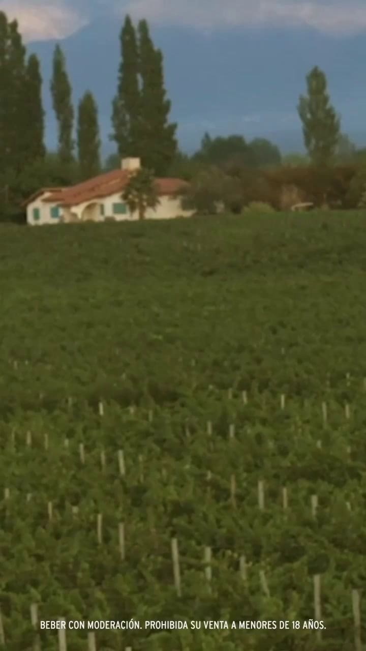 Así es la bodega Luigi Bosca que produjo el vino que se hizo famoso en Hollywood