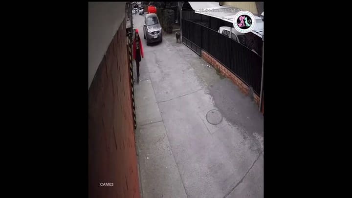 Perro salvó a una niña de ser secuestrada