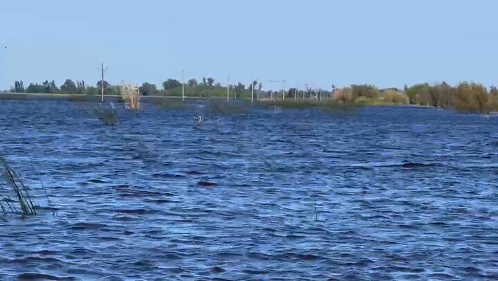 Así quedó el tendido eléctrico en medio de una laguna de agua