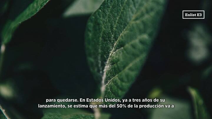 Cómo están mejorando los rindes las sojas con tecnología Enlist E3