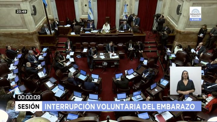El discurso completo de Pino Solanas en el Senado
