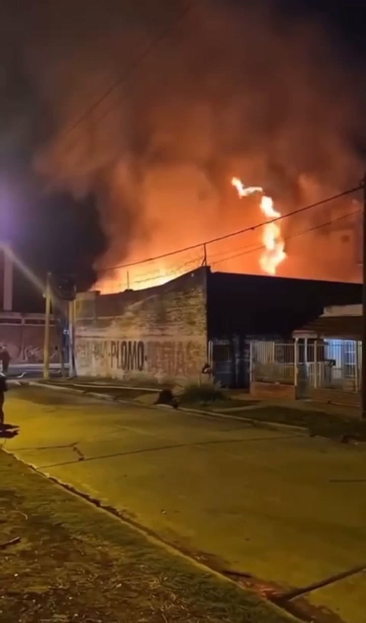 O vídeo foi filmado por um vizinho