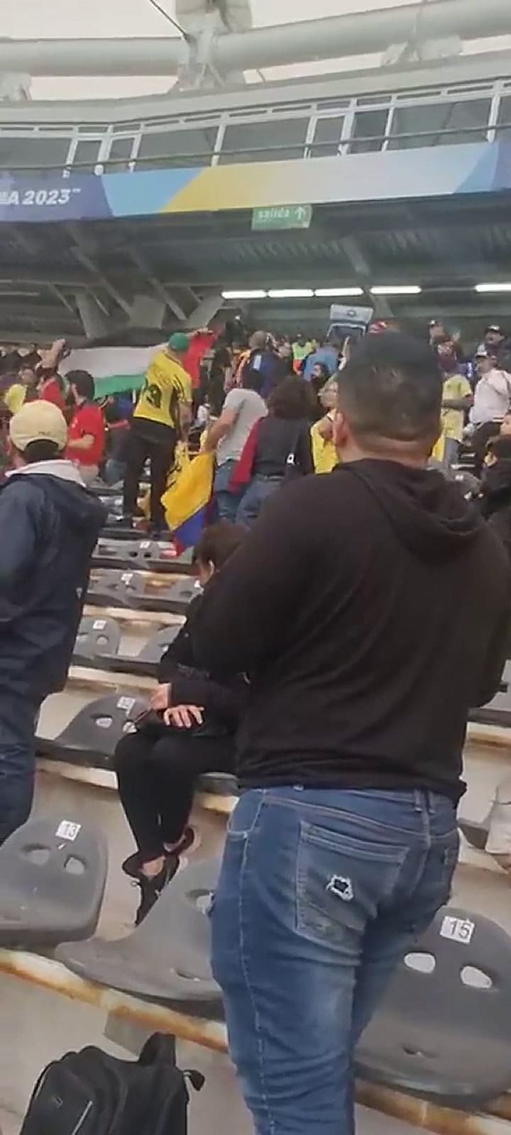 Detuvieron a un hincha que mostró una bandera de Palestina