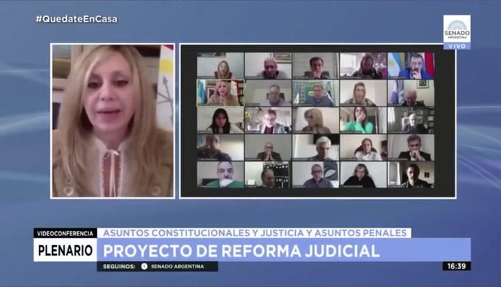Esteban Bullrich puso una gigantografía suya durante las sesiones de Zoom - Fuente: Senado Argentino