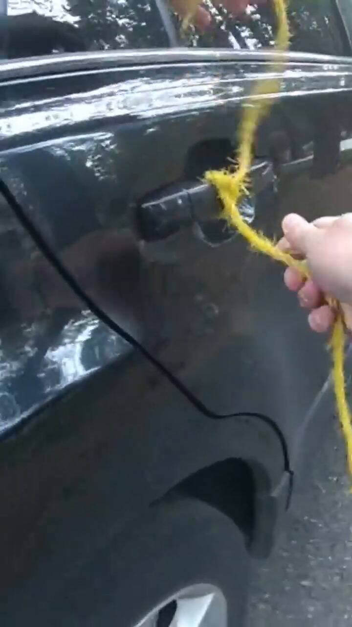 Un policía logró liberar a un oso atrapado dentro de una camioneta con tan solo una cuerda