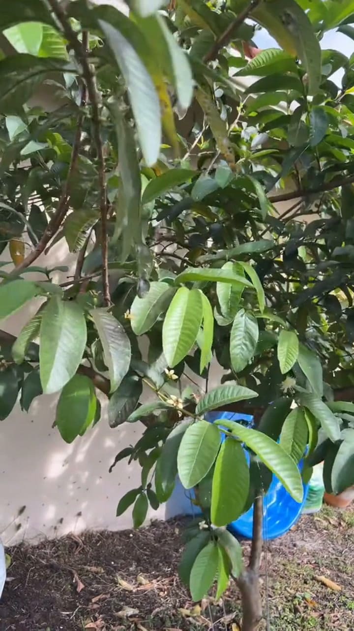 Ssstik.io 1723040534071