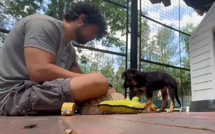 Benito con Walter, en proceso de sociabilización