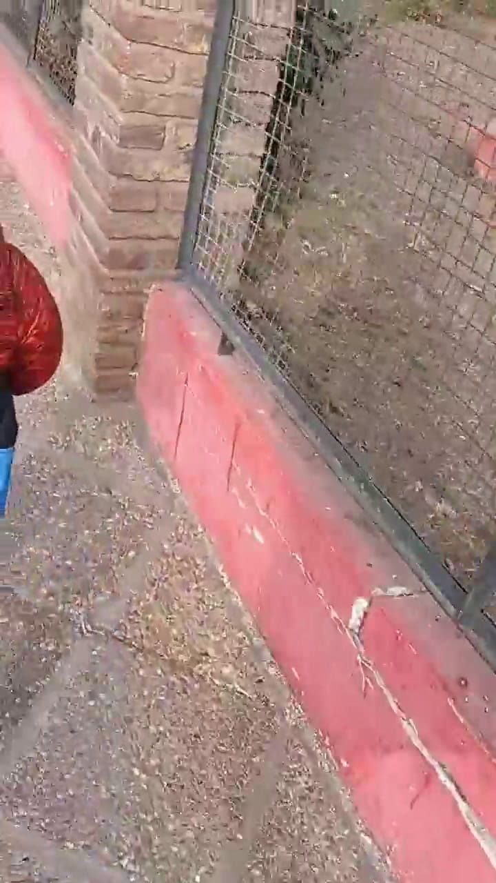 Notó que la mochila del jardín de su hijo estaba pesada y lo que encontró adentro la dejó sin palabr