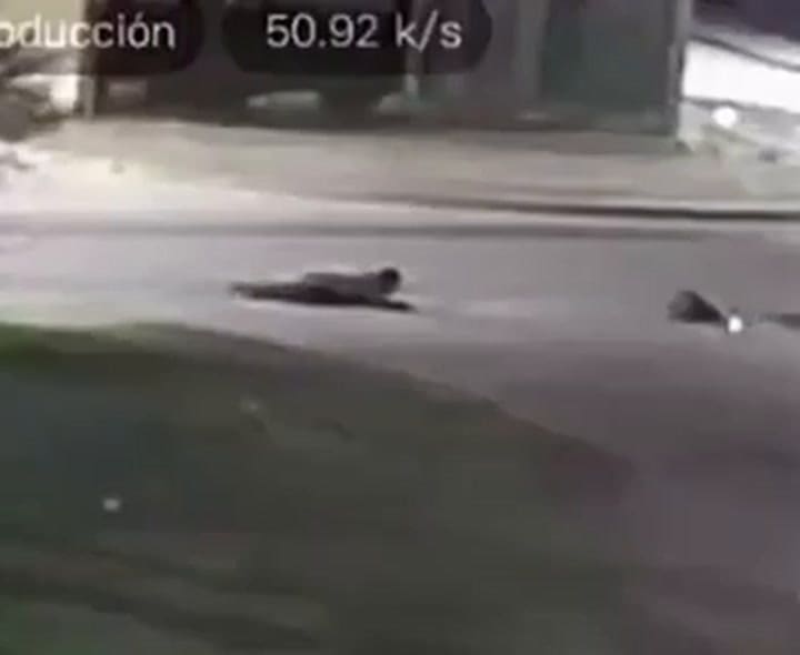 Un hombre cayó de un colectivo en Lomas de Zamora