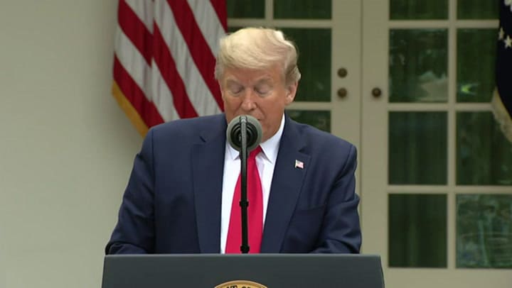 Trump suspende el financiamiento a la OMS y la acusa de agravar la pandemia - Fuente: AFP