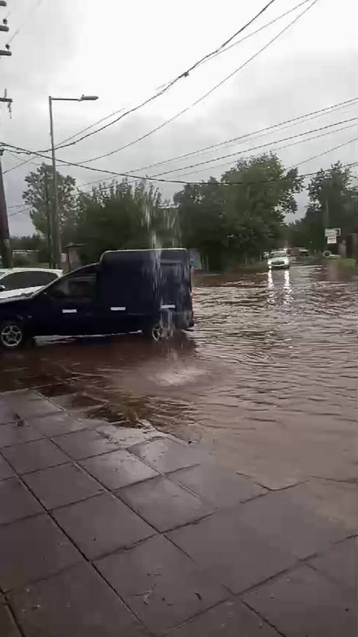 Whatsapp Video 2024-03-19 At 18.25.33