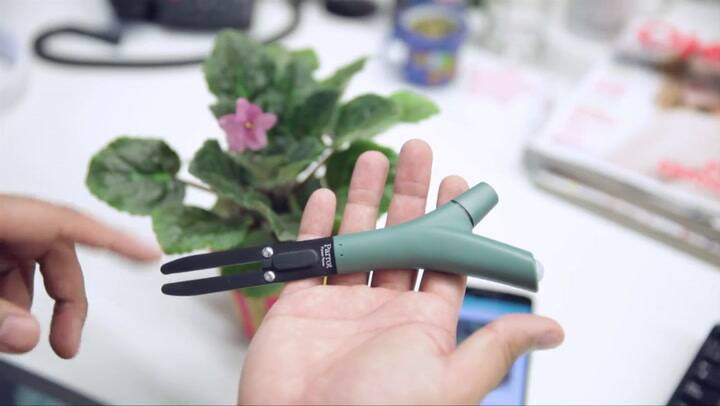 Tecno en 1 minuto: cómo cuidar tus plantas con una app