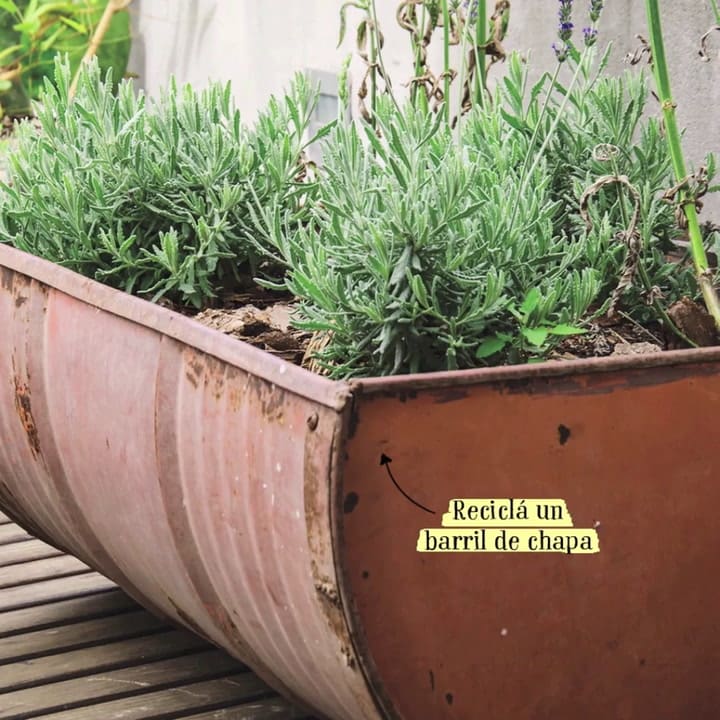 Renová tu espacio con macetas