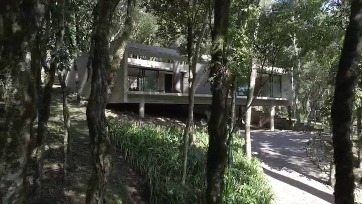 Casa Fortunata. Habitar el bosque