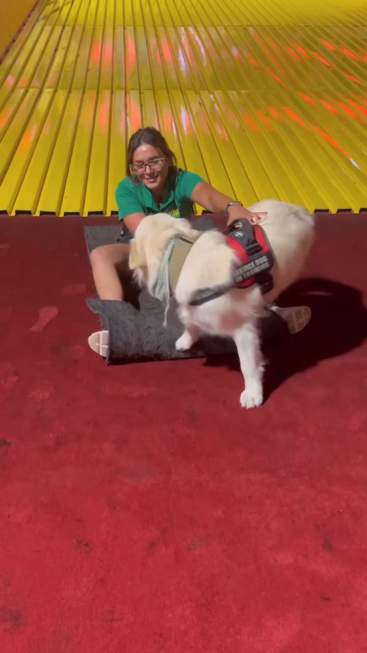 El divertido video de un perro de servicio tirándose por tobogán