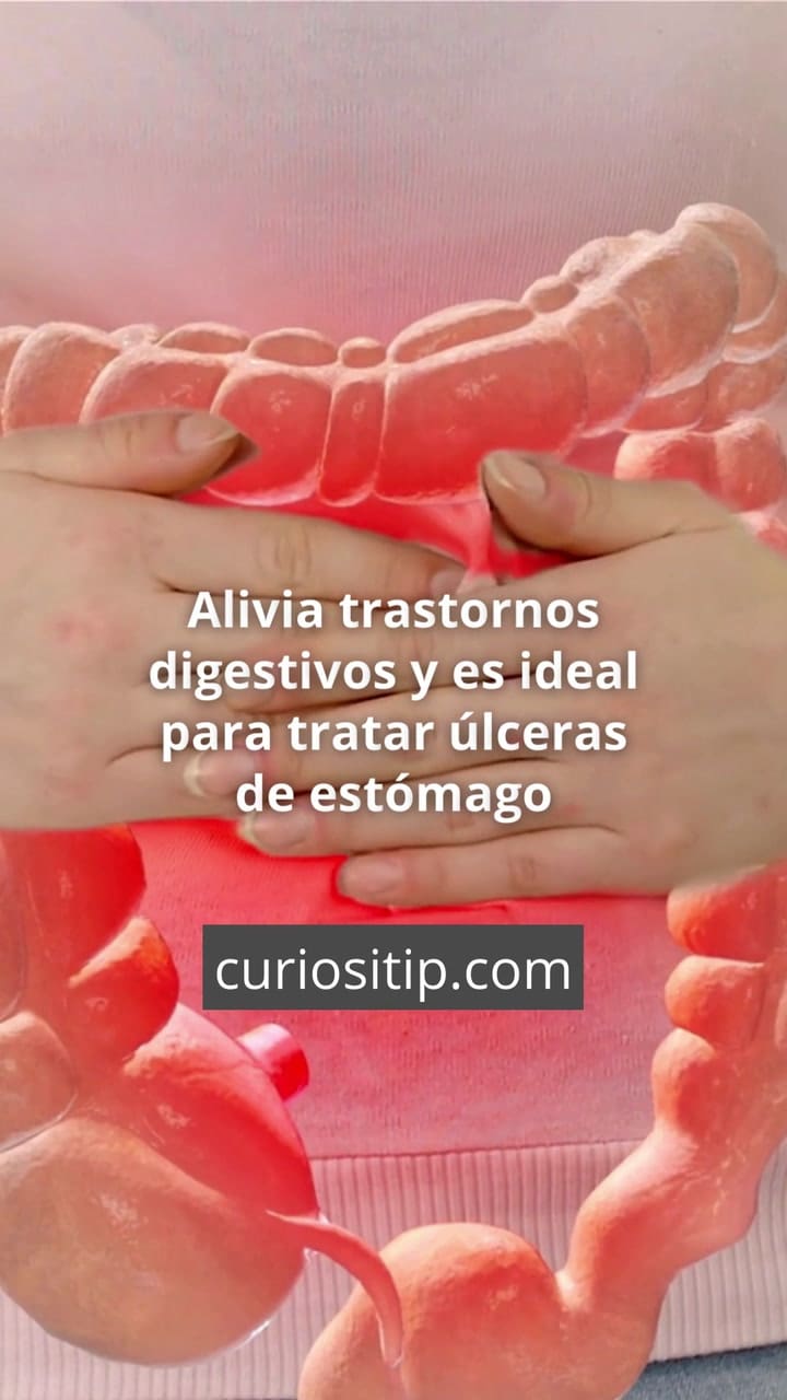 Conocé los cinco beneficios del membrillo