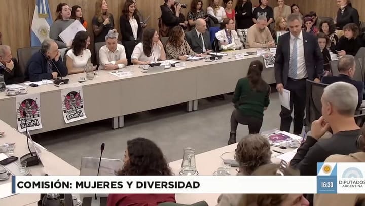 La exposición de Julia Mengolini en la comisión de Mujeres y Diversidad de Diputados