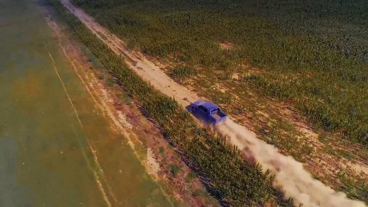 La potencia del campo