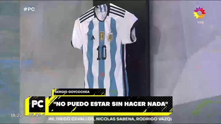 Sergio Goycochea habló sobre las posibilidades de Leo Messi de llegar al Mundial 2026
