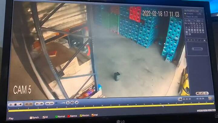 Entraron a robar, los empleados se resistieron y los sacaron a botellazos y a las patadas del local