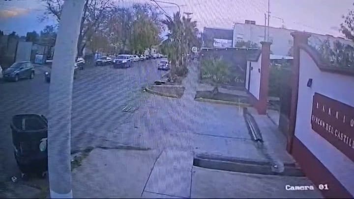 Atropelló a un perro y quedó grabado