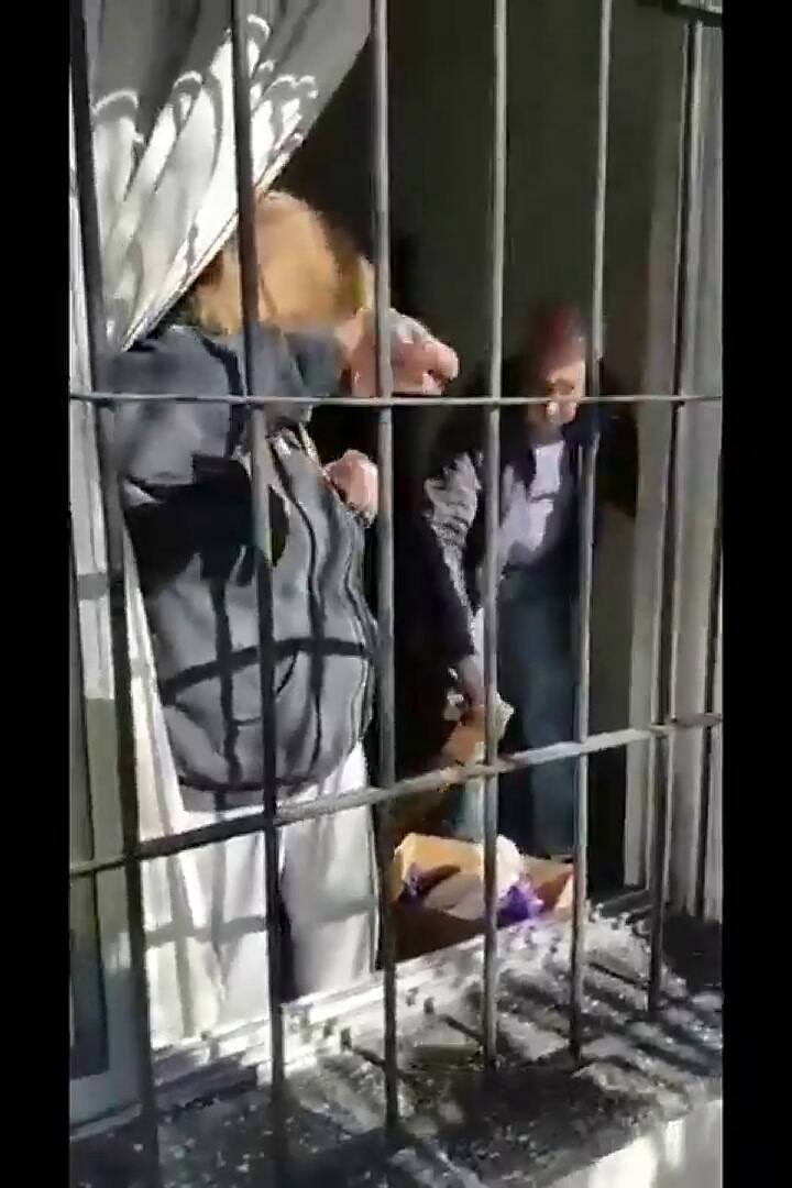 Nietos visitan a su abuela después de seis meses y le regalan perro - Fuente: Twitter vaninaboullosa