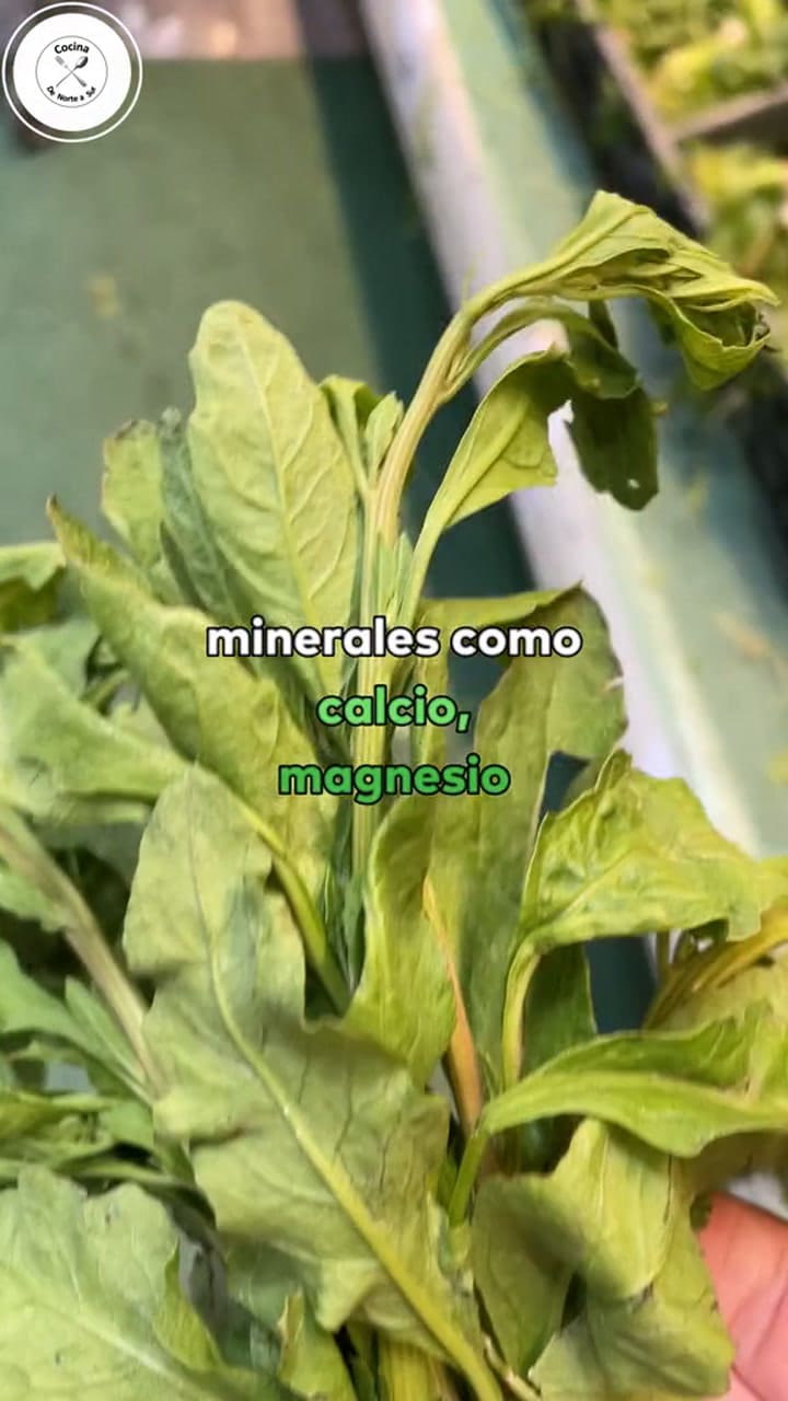 Ssstik.io @Cocinadenorteasur1 1733441337120