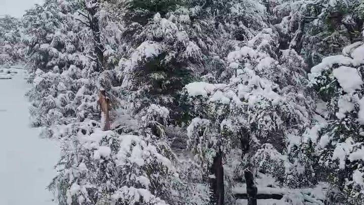 Marzo blanco: intensas nevadas en Bariloche