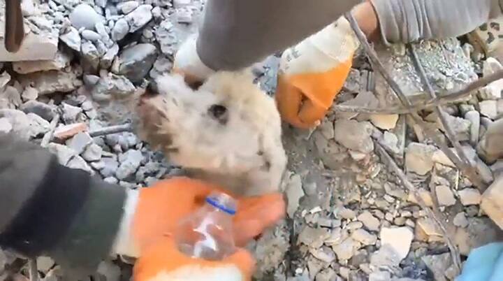 El video del rescate que conmovió al mundo