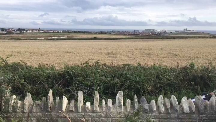 Autito chocador a vehículo personal