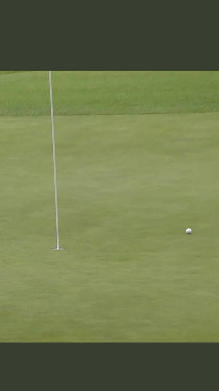 El águila de Tiger
