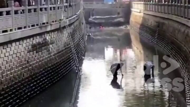 Perdió un anillo y contrató un equipo especial para recuperarlo