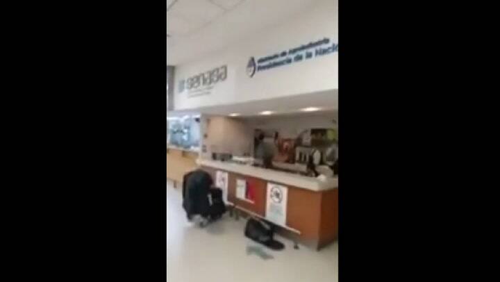 El Senasa retuvo a un perro en Ezeiza por una vacuna vencida hace 8 días: lo quieren deportar