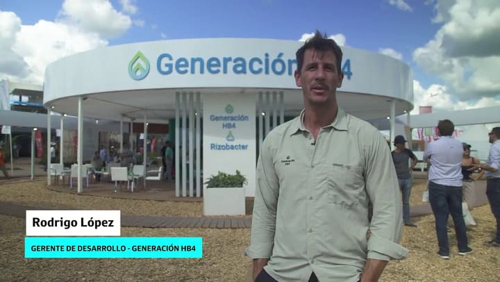 Generación HB4: cómo es el programa que mitiga los efectos de la sequía en trigo y soja