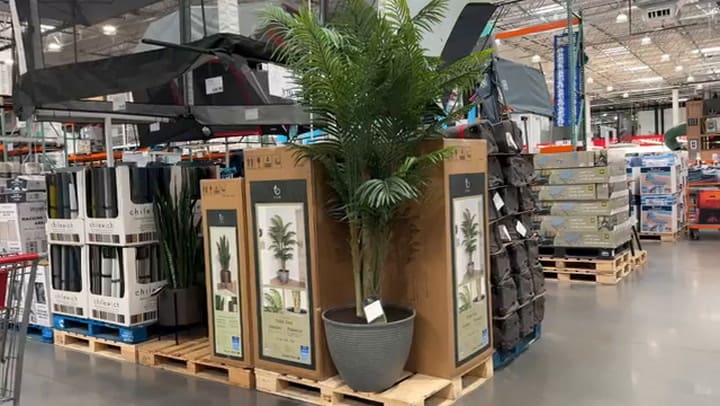 Las mejores ofertas de Costco para julio