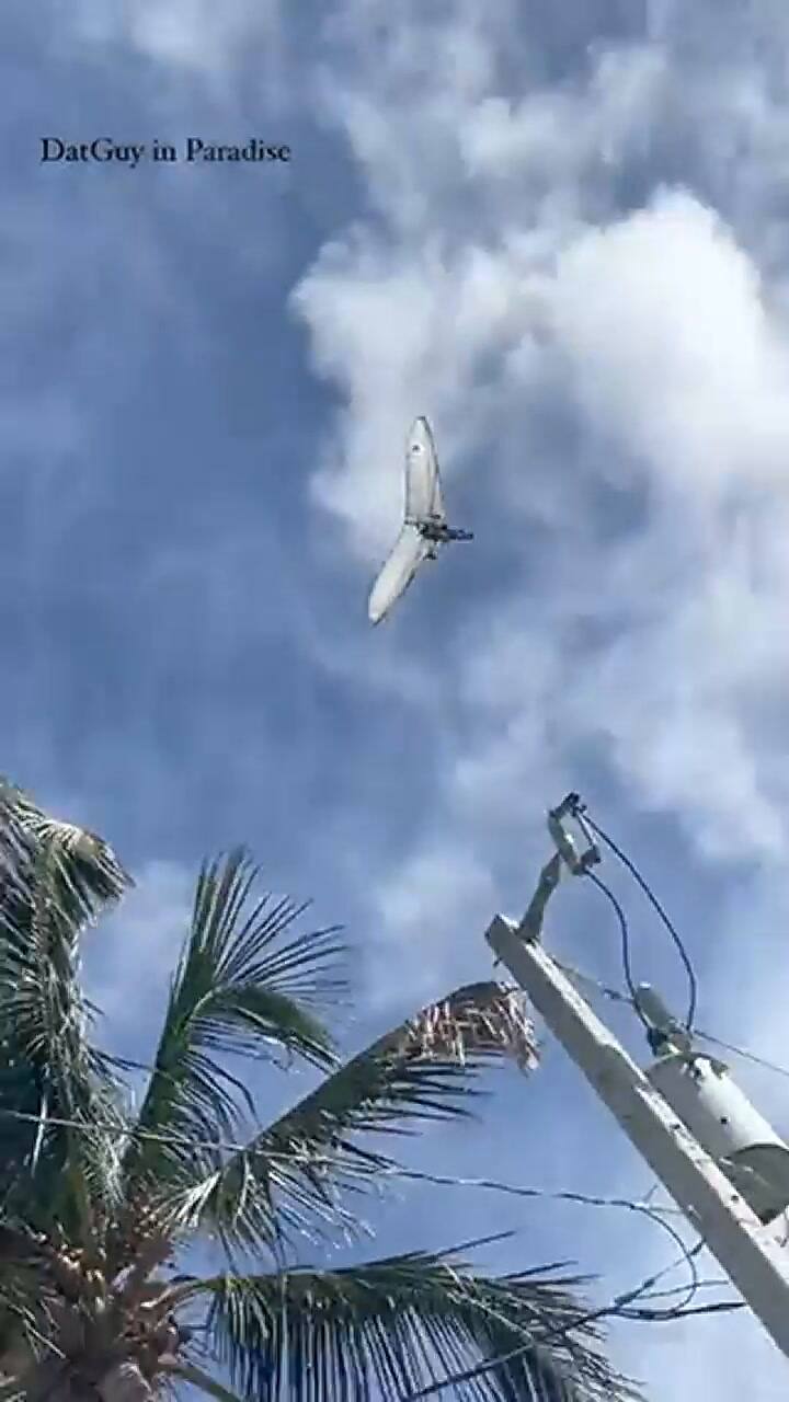 Dos cubanos volaron más de 100 kilómetros en una ala delta motorizada para enrtrar a Florida