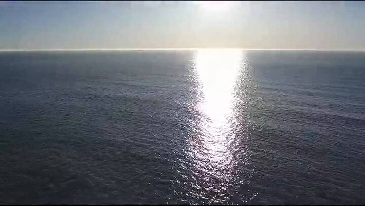 Avistaje de ballenas en Mar del Plata