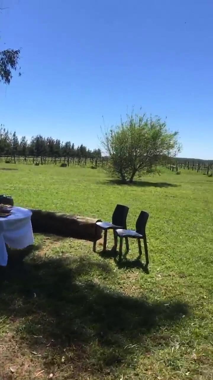 Enoturismo, degustación. Finca Don Atilio