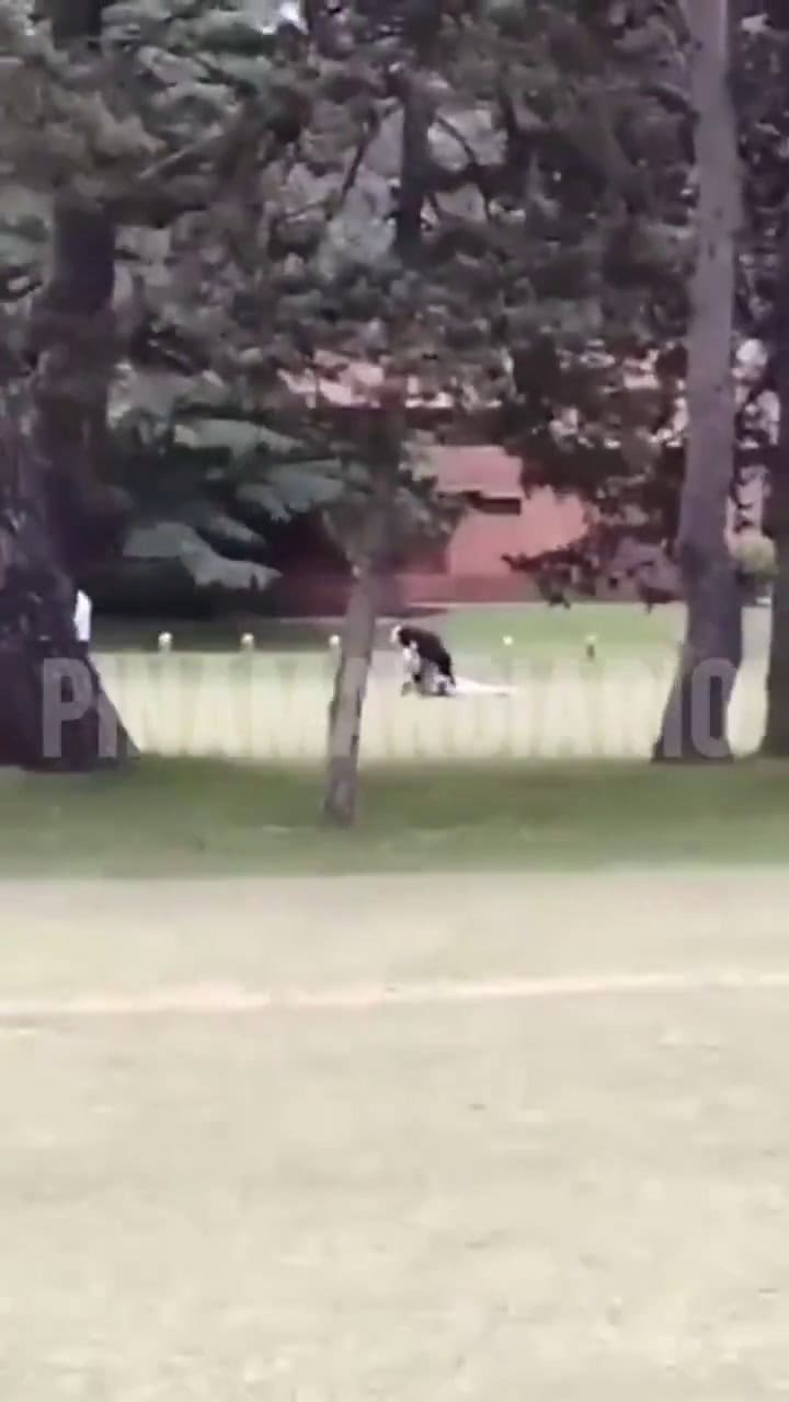 Agresión en un club de golf de Pinamar