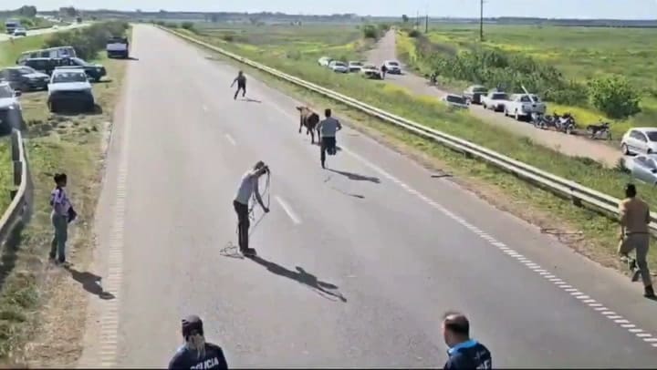 Video de vuelco de camión con hacienda