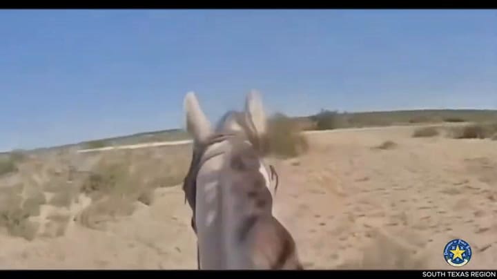 Autoridades de la Patrulla Fronteriza capturan a un méxicano con antecedentes criminales en un rancho en Texas (YouTube: Texas Department of Public Safety)