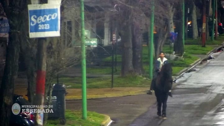 Robo de un caballo en Ensenada