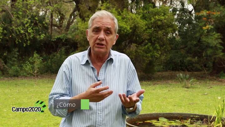 Por qué la agricultura por ambientes es la puerta de ingreso a la tecnología de punta