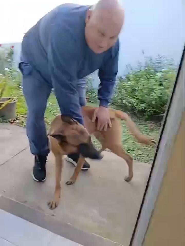 Em uma postagem que Regonat fez após encontrar Rocco, ele adicionou um vídeo dele acariciando seu cachorro