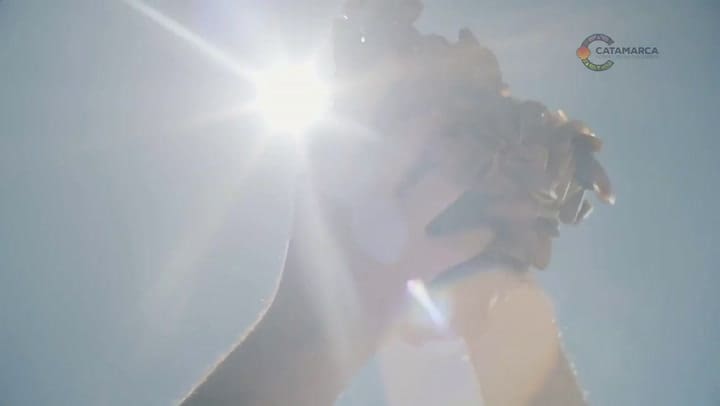 La versión del himno que publicó Alberto Fernández - Fuente: Twitter