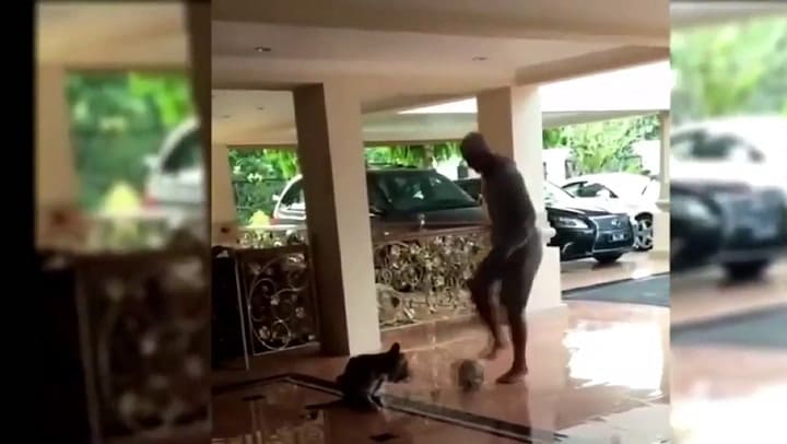 El caño de Faiq Bolkian a su mascota