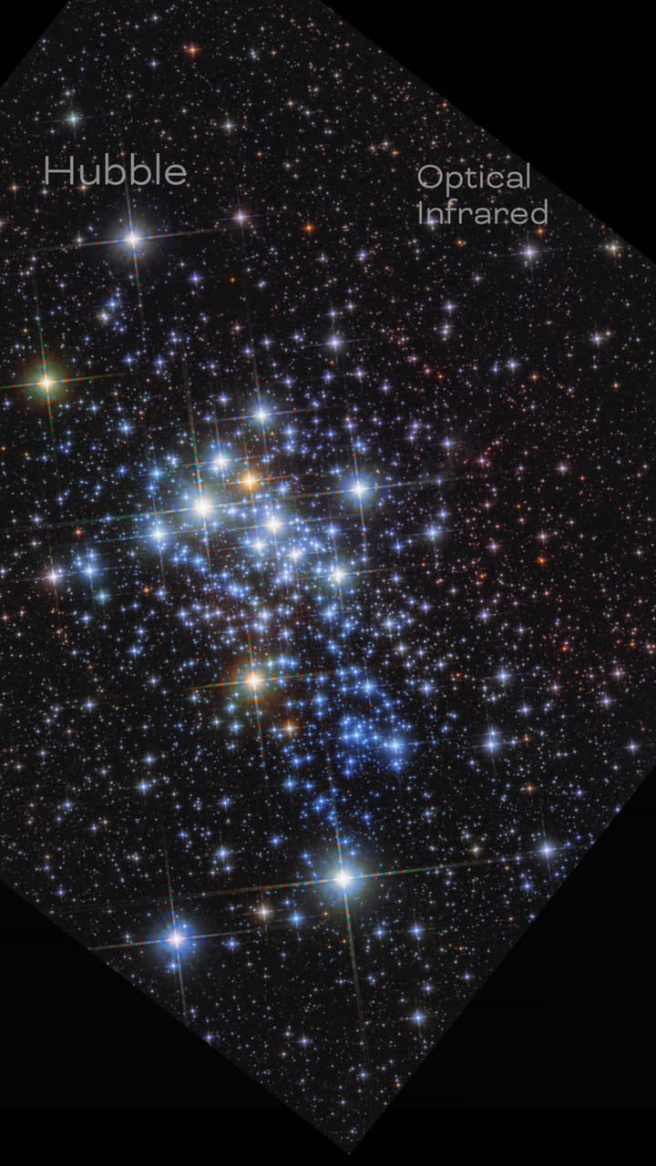 La NASA mostró las imágenes reales sobre Westerlund 1, oculto por densas nubes de polvo