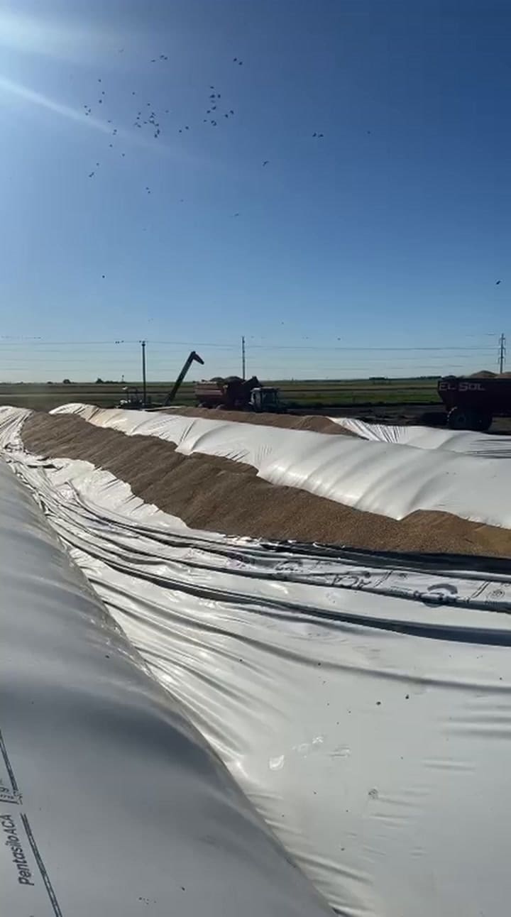 Así quedaron los bolsones vandalizados