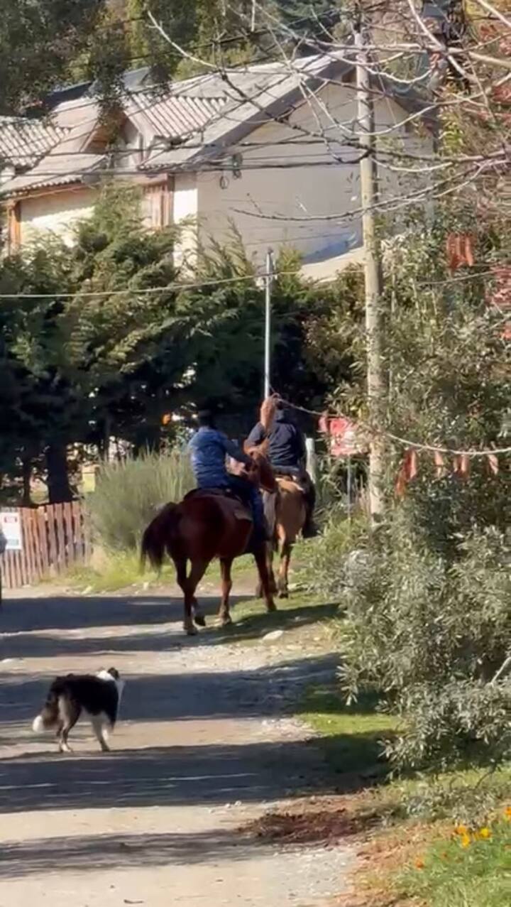 Rastrillajes en la zona: así buscan a la mujer desaparecida en Bariloche